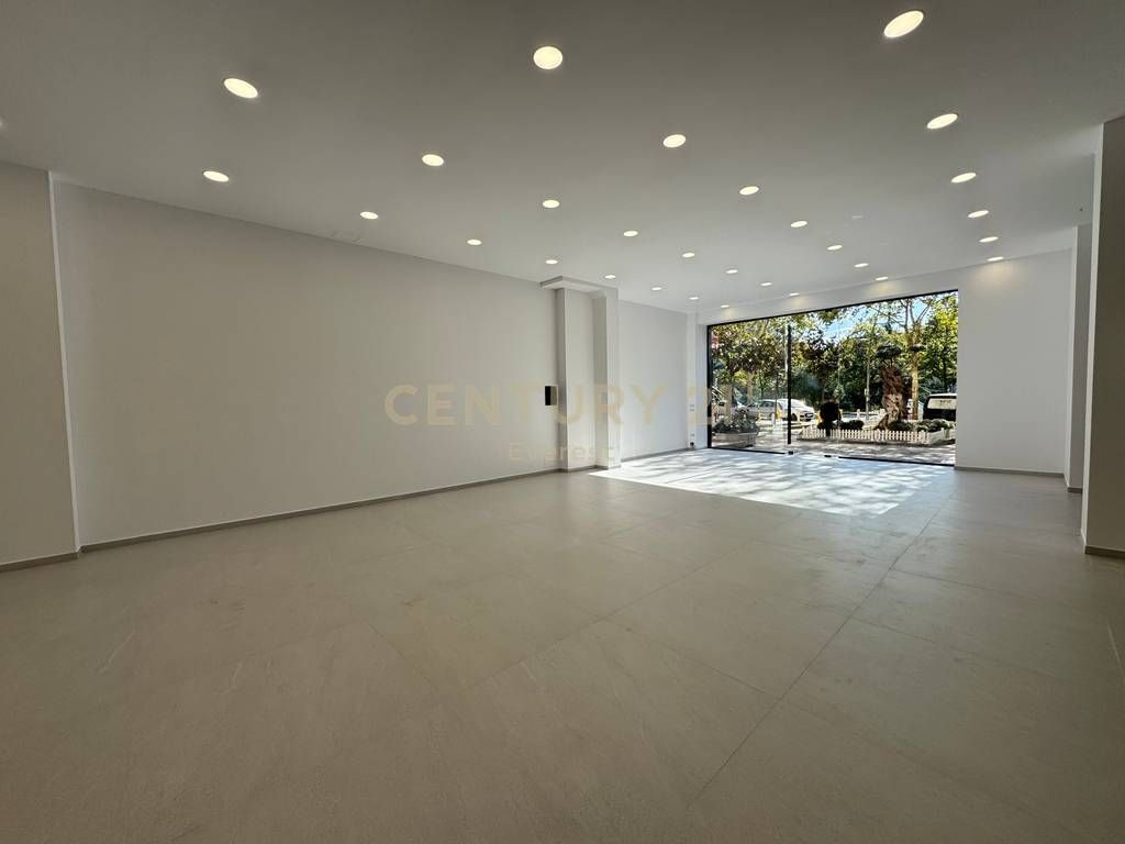 PRANE DELIORGJIT, SHESIM AMBIENT KOMERCIAL