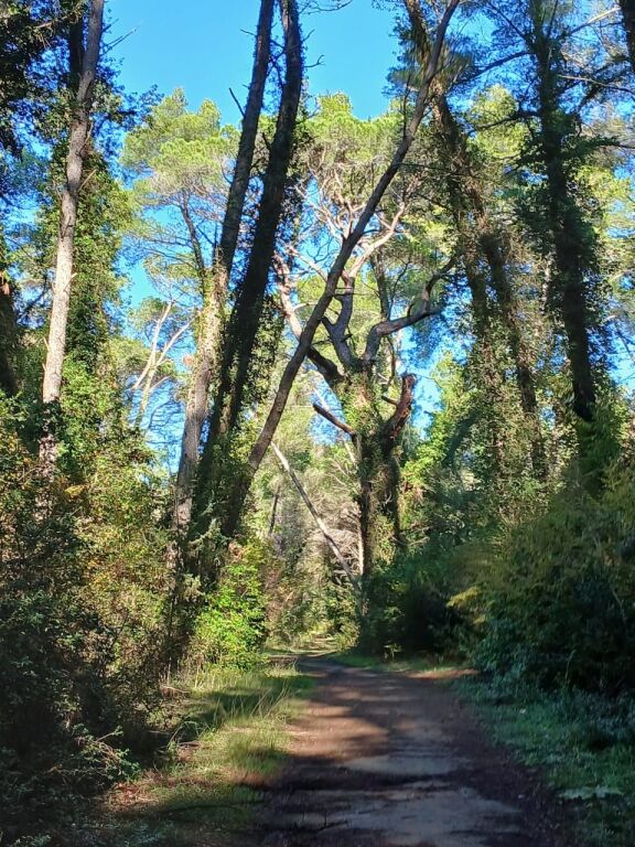 ▪️HOTEL TURISTIK PËR SHITJE TE PARKU KARAVASTA NE DIVJAKË