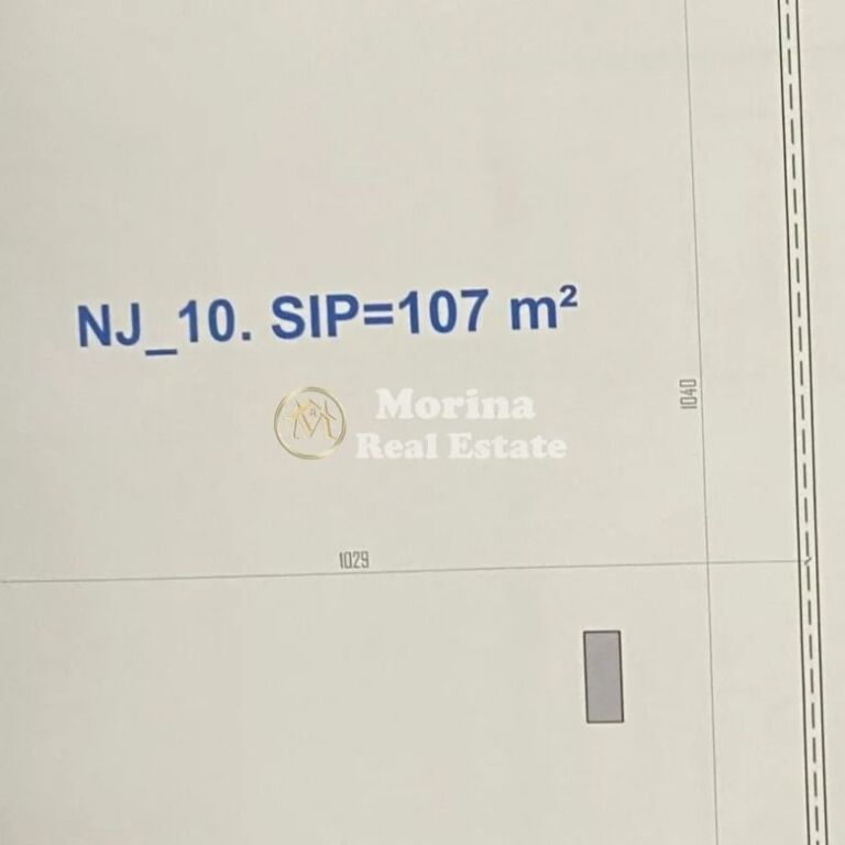 Shitje | Ambjent Biznesi | Kamëz | 235400 €