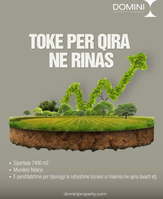 Land for rent, Rinas