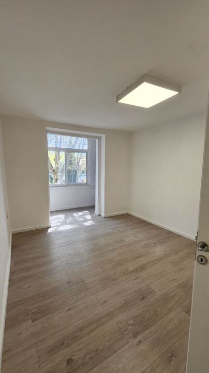 Apartament 2+1, Vasil Shanto!