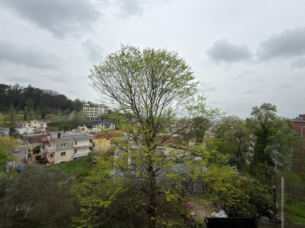 Appartamento 1+1+Balcone in Affitto Via Elbasan