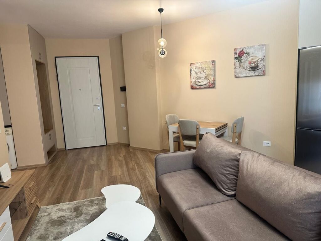 APPARTAMENTO 1+1, COMPLESSO DELIJORGJI