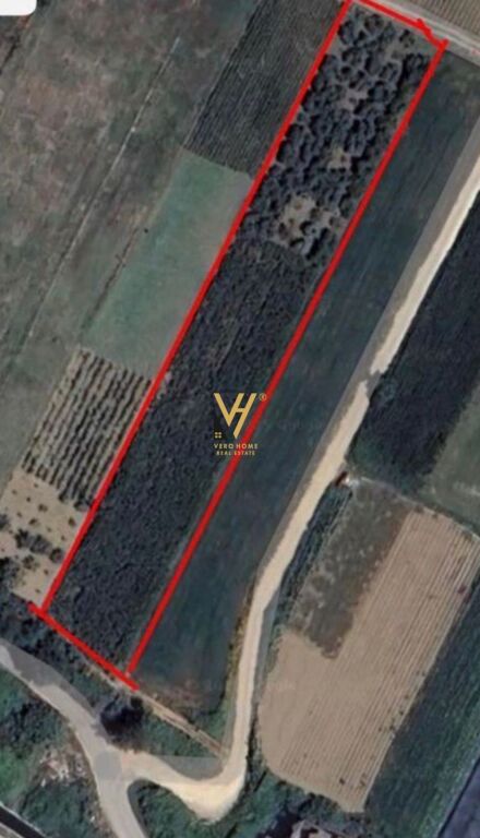 SHITET TOKE ARE 2.700 M2 NE NDROQ 81.000 EURO