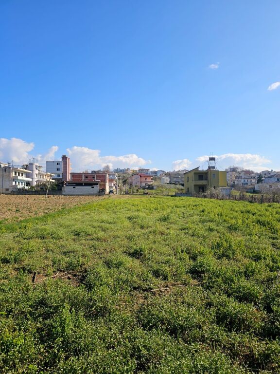 🌿 SHITET TOKË NË SHKALLNUR, DURRËS