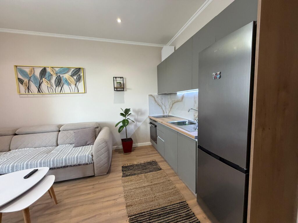 Apartment for rent 1+1 Opposite Deliorgji