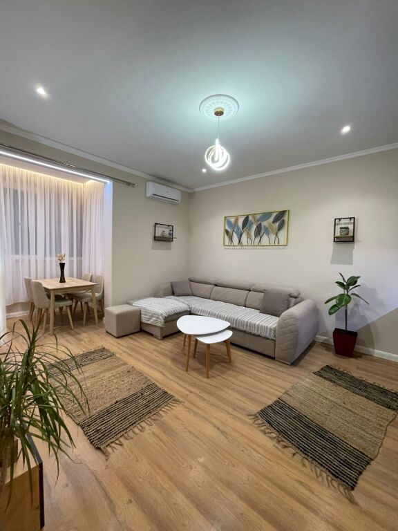 Apartment 1+1 for rent, Delijorgji