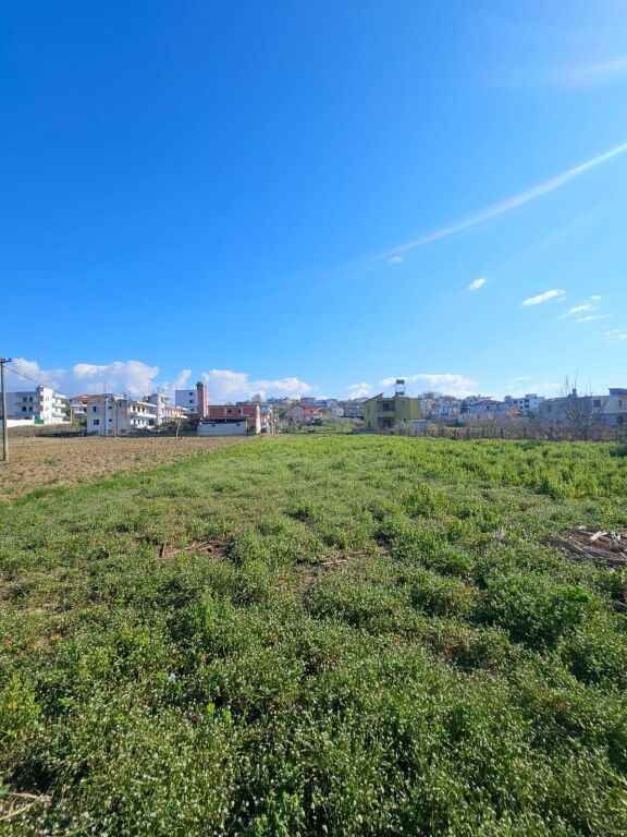 🌿 SHITET TOKË NË SHKALLNUR, DURRËS