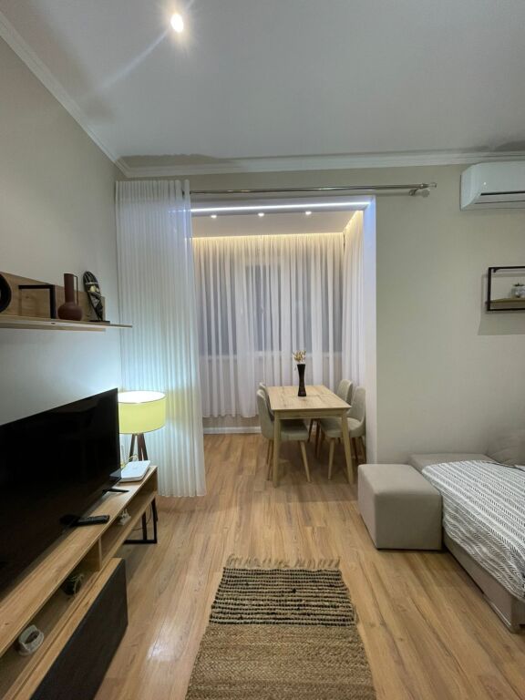 Apartment 1+1 for rent, Delijorgji