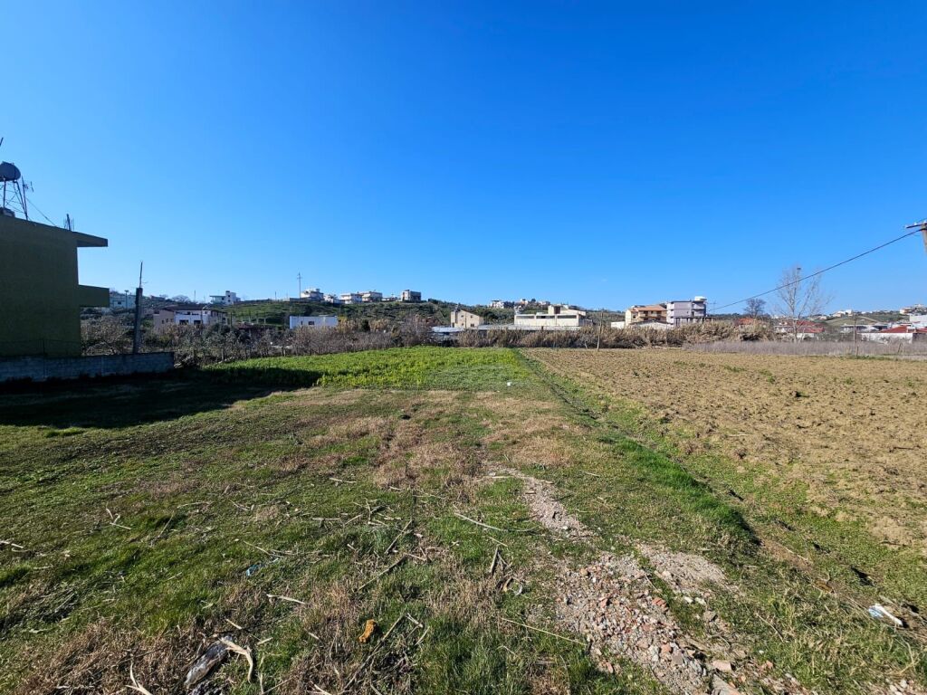 🌿 SHITET TOKË NË SHKALLNUR, DURRËS