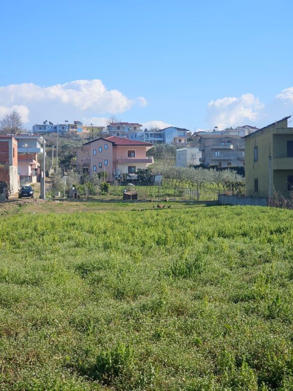 🌿 SHITET TOKË NË SHKALLNUR, DURRËS