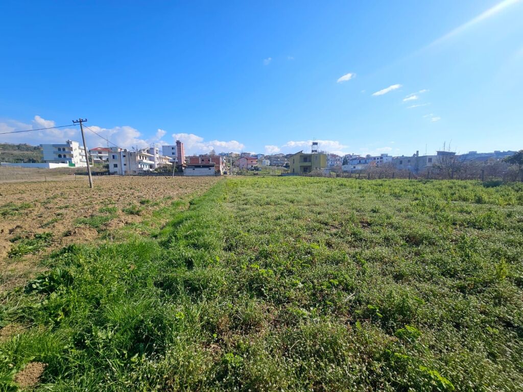 🌿 SHITET TOKË NË SHKALLNUR, DURRËS