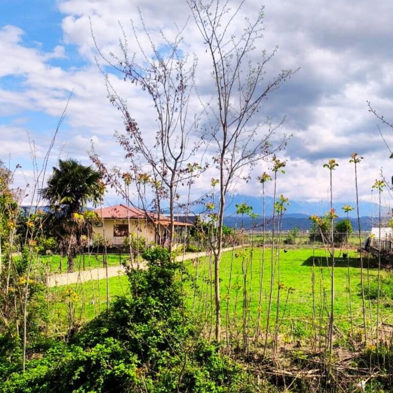 Land for sale 1000 m² – Dimal, on the national road Dimal–Kuçovë