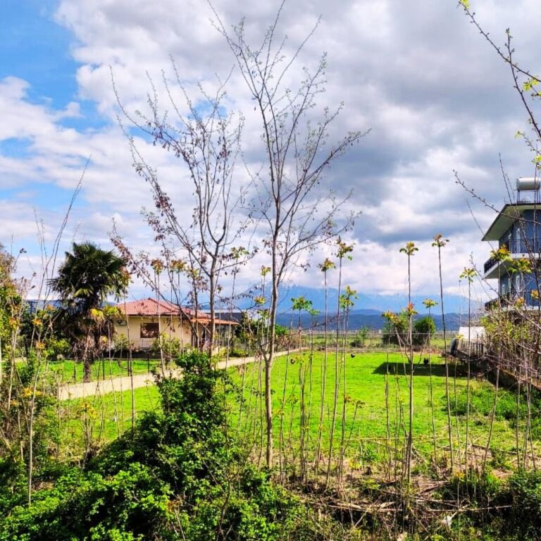 Land for sale 1000 m² – Dimal, on the national road Dimal–Kuçovë