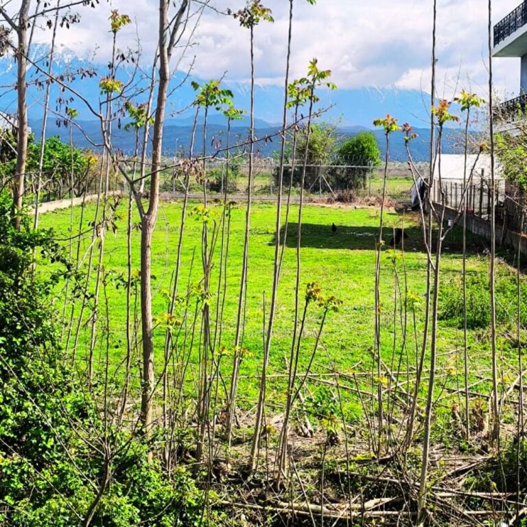 Land for sale 1000 m² – Dimal, on the national road Dimal–Kuçovë