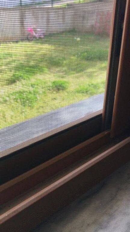 JEPET ME QERA KATI I PARE 1+1, SHTEPI PRIVATE - TIRANE