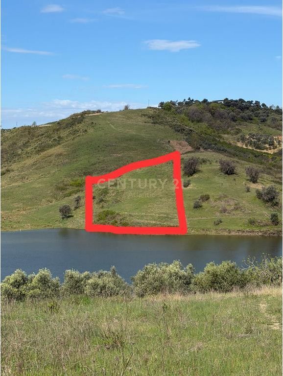 Buzë Liqeni | Rromanat, Rruga e Vjetër Plepa–Tiranë