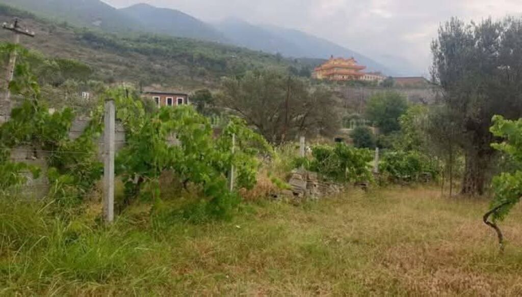 SHITET TRUALL 3000 M2 + NDERTESE 2 KATE - RRUGA E ARBERIT, FERRAJ