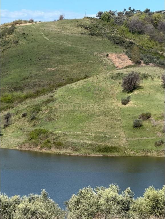 Buzë Liqeni | Rromanat, Rruga e Vjetër Plepa–Tiranë