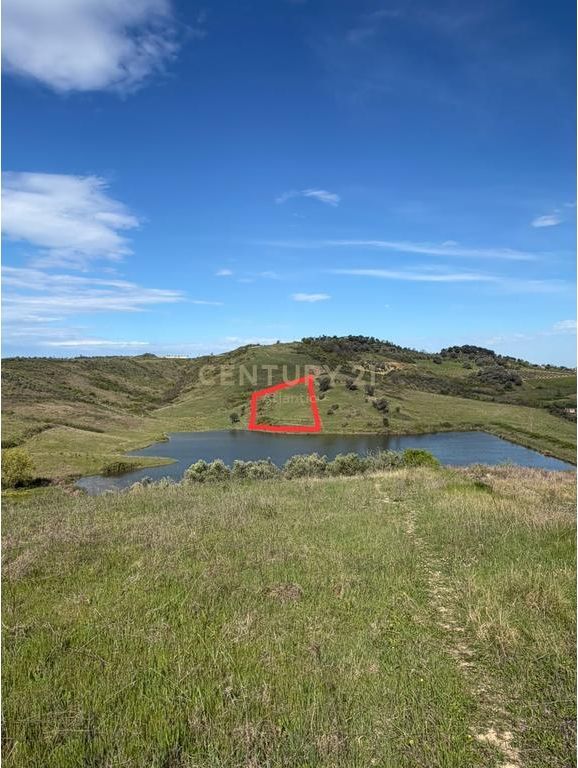 Buzë Liqeni | Rromanat, Rruga e Vjetër Plepa–Tiranë