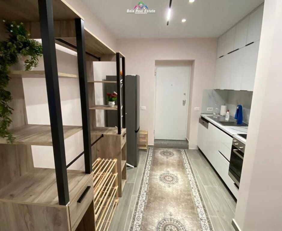 Apartment For Rent 1+1 At Elbasan Street (ID B211431) Tirana