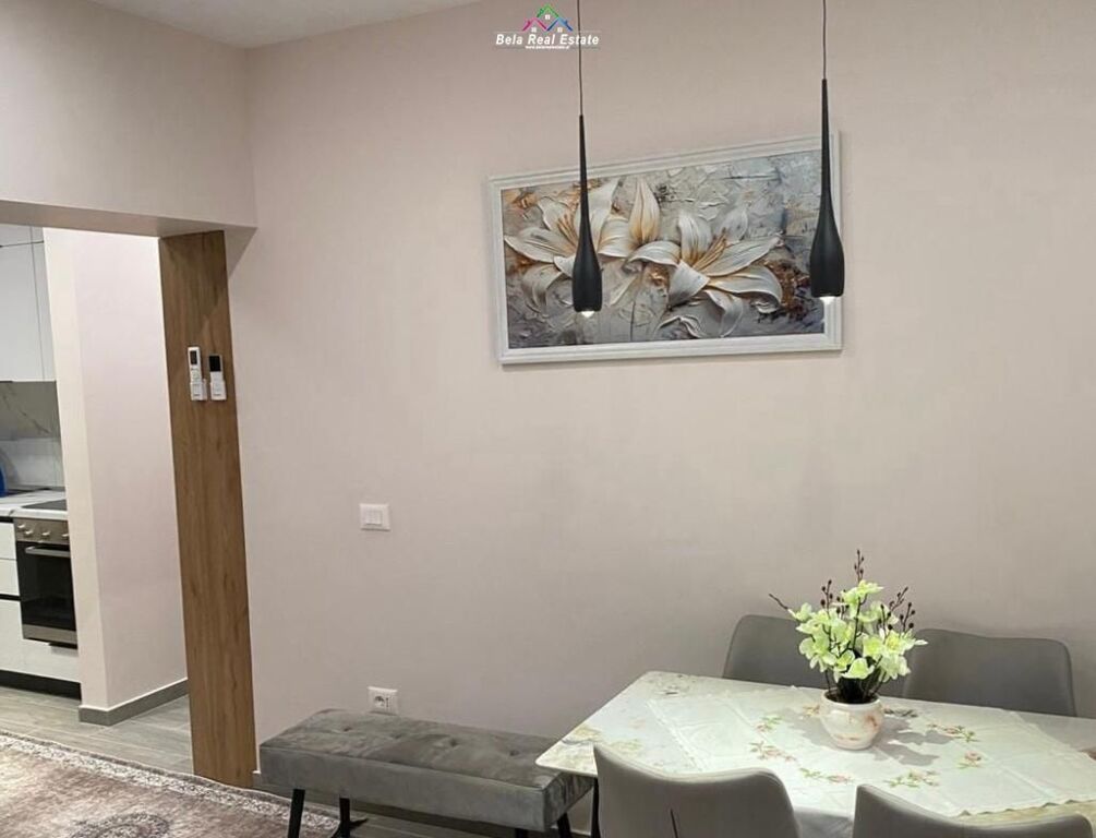 Apartment For Rent 1+1 At Elbasan Street (ID B211431) Tirana