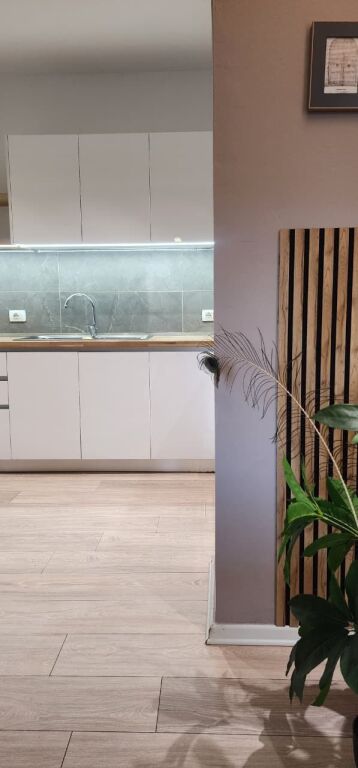 Apartment 1+1 for rent on Myslym Shyri Street!