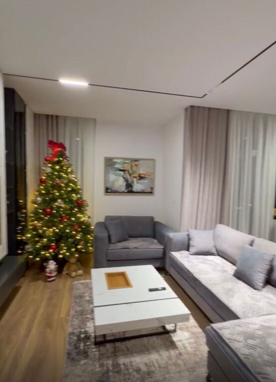 Apartment 1+1+parking on Filip Jano street, New Boulevard