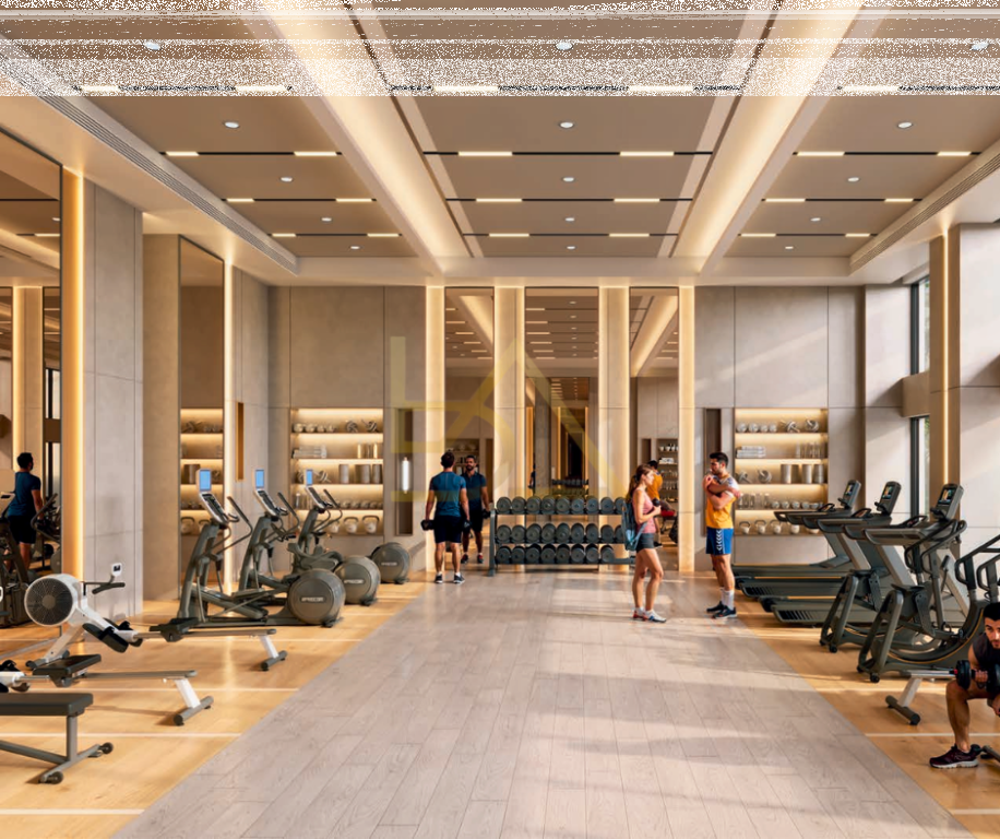 Aspirz Danube – Dubai