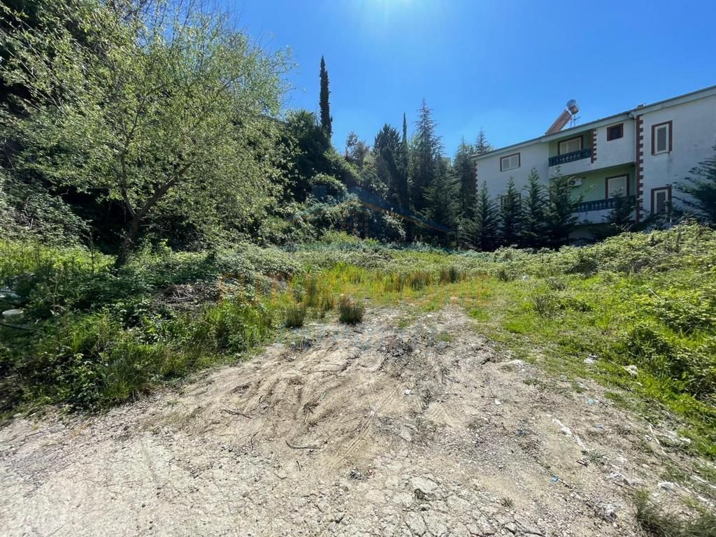 Shitet, Tokë, Vilat Gjermane, Tiranë.