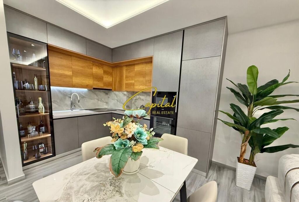 APPARTAMENTO IN AFFITTO 1+1 FRESKU 55.000 LEKE