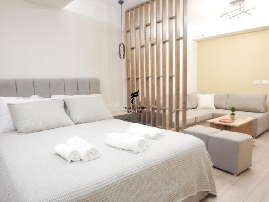 APPARTAMENTO IN AFFITTO 1+1 &amp; MONOLOCALE 21 DICEMBRE 1.300 EURO FH-68092