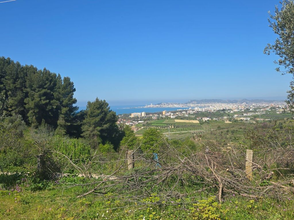 🏝 SHITET SUPER TOKË ME PAMJE PANORAMIKE DETI – PRANË “PEMËS SË JETËS”
