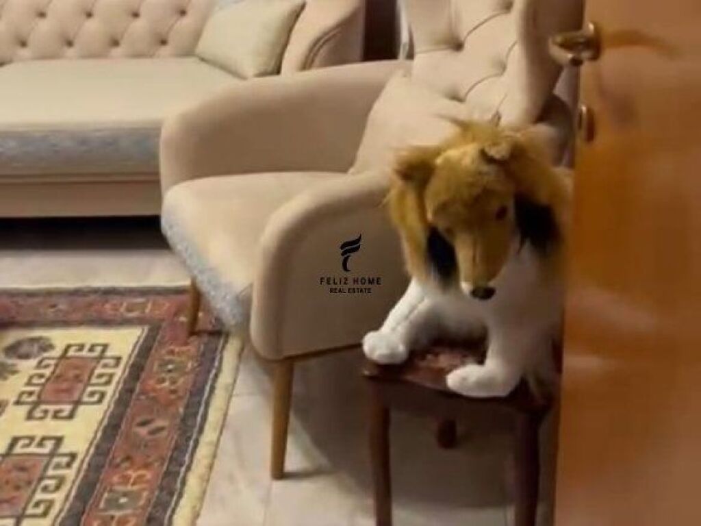 APARTAMENT ME QERA 2+1 ISH EKSPOZITA 70.000 LEKE FH-68349