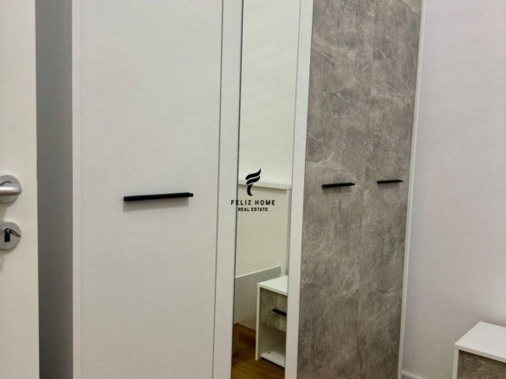 APPARTAMENTO IN AFFITTO 1+1 ALI DEMI 40.000 LEKE FH-68394