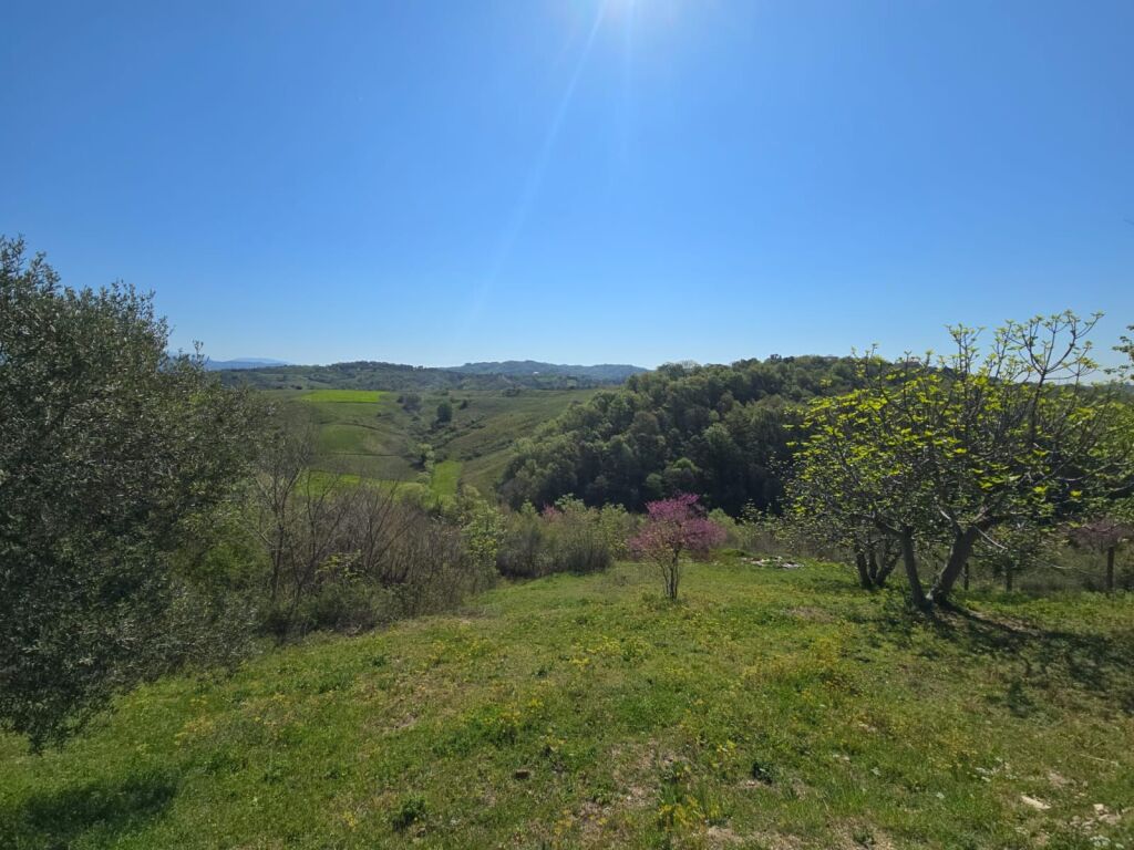🏝 SHITET SUPER TOKË ME PAMJE PANORAMIKE DETI – PRANË “PEMËS SË JETËS”