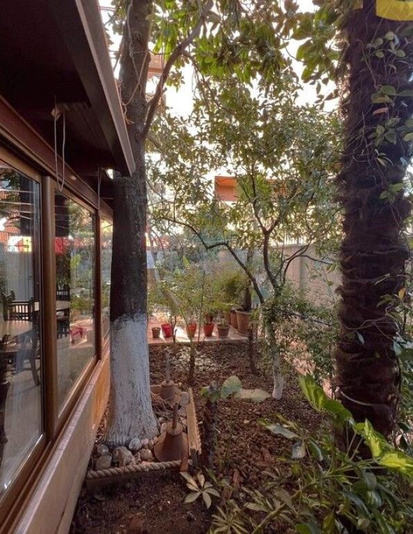 Qera, Vile 3-kateshe, Xhamlliku