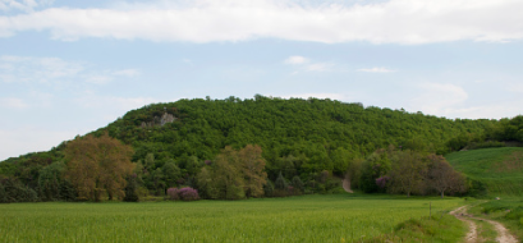 🌿 TOKË PËR SHITJE – AUTOSTRADA TIRANË–DURRËS