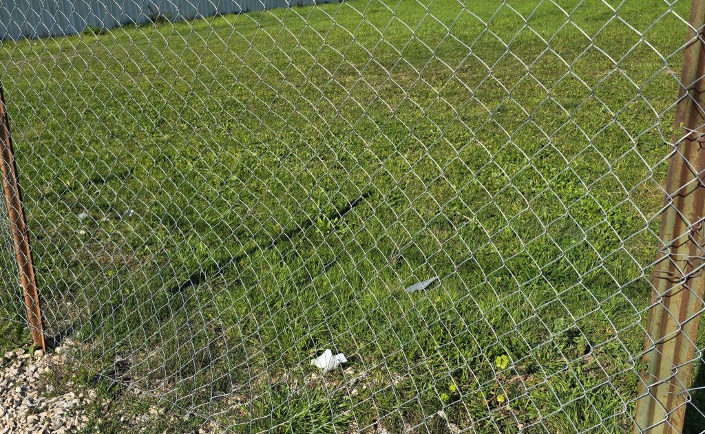 SHITET TOKË NË KAMEZ