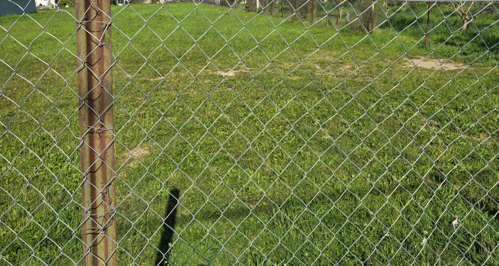 SHITET TOKË NË KAMEZ