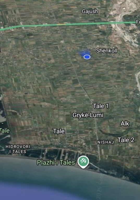 Tale shitet toke + truall