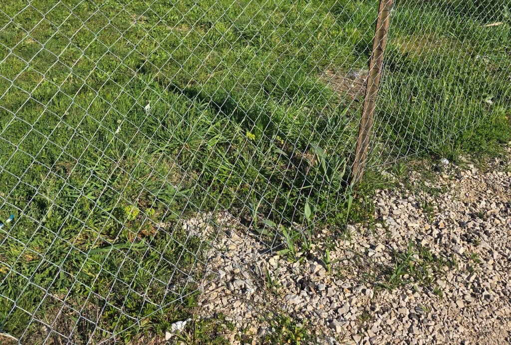 SHITET TOKË NË KAMEZ