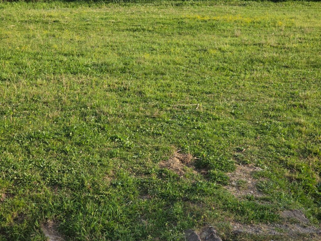 Tale shitet toke + truall