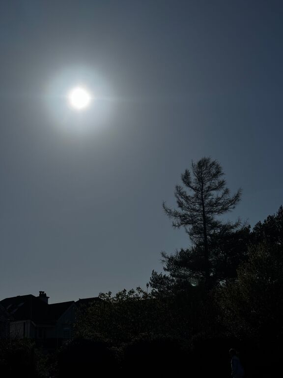 Kerkohen shoqe per ndarje qeraje