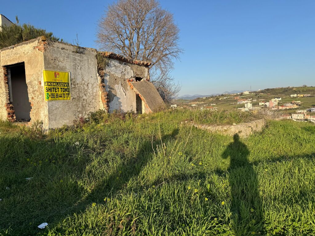 Shitet Toke Me Pamje Fantastike Deti Shkallnur