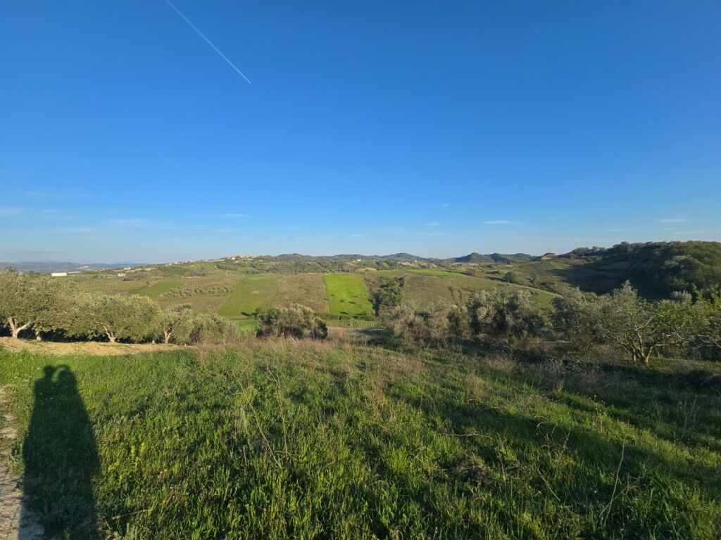 SUPER TOKE OKAZION PER SHITJE,  PEMA E JETËS,  SHKALLNUR