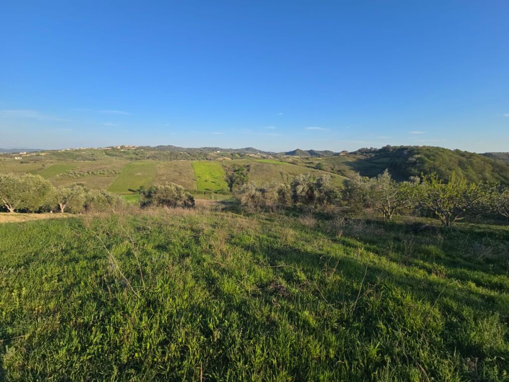 SUPER TOKE OKAZION PER SHITJE,  PEMA E JETËS,  SHKALLNUR