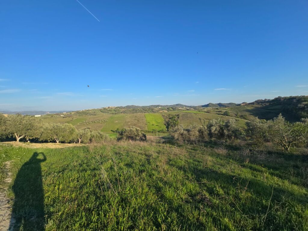 SUPER TOKE OKAZION PER SHITJE,  PEMA E JETËS,  SHKALLNUR