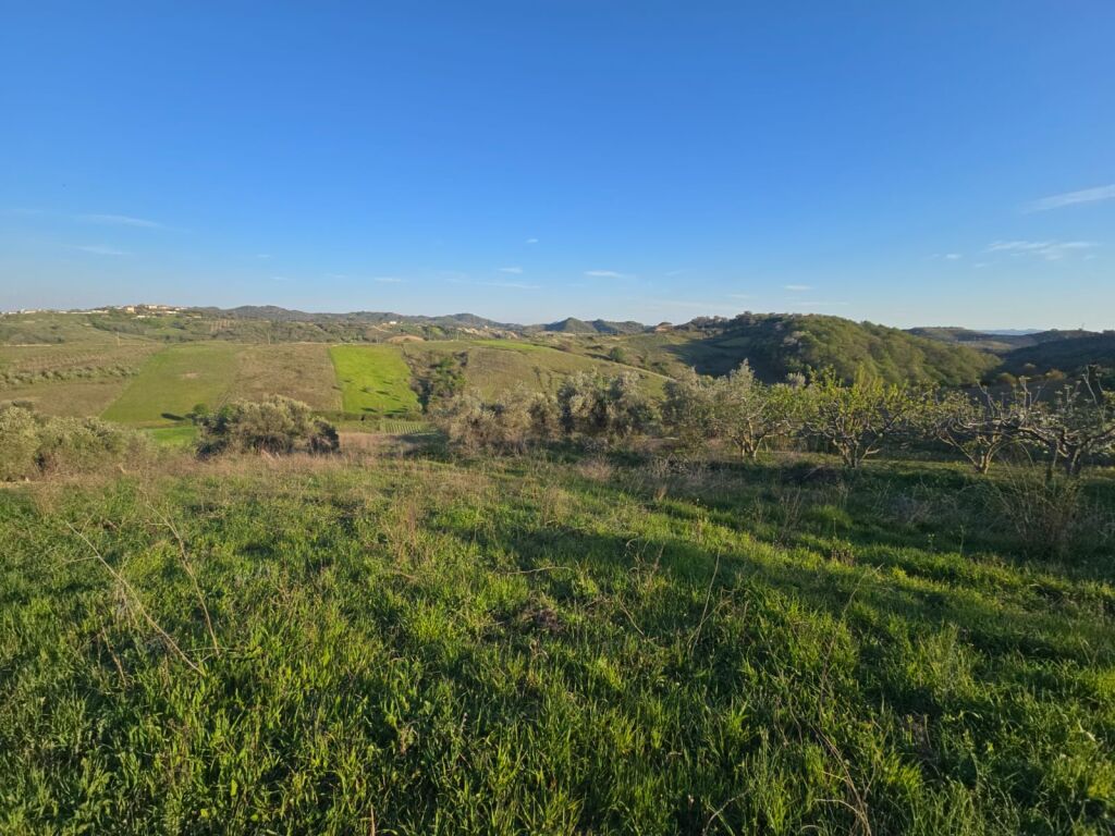 SUPER TOKE OKAZION PER SHITJE,  PEMA E JETËS,  SHKALLNUR