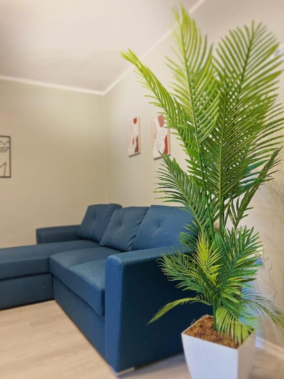 Apartment lluksoz 1+1 te rruga Durrsit